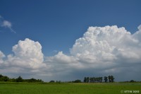 /album/%e5%a4%8f/a1-20-jpg/